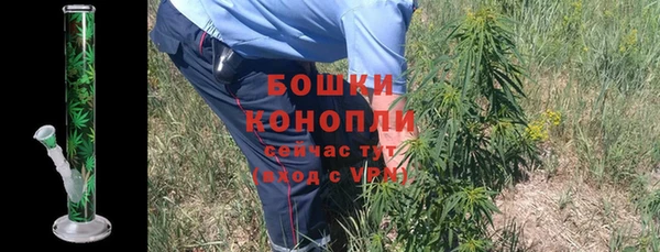 молекула духа Горнозаводск