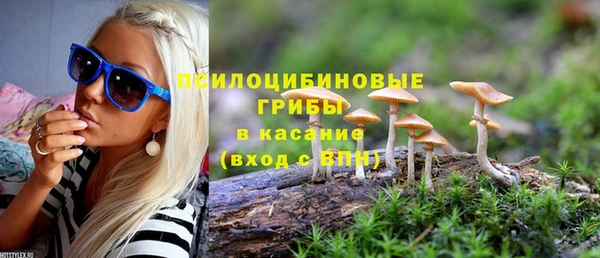 скорость Алзамай