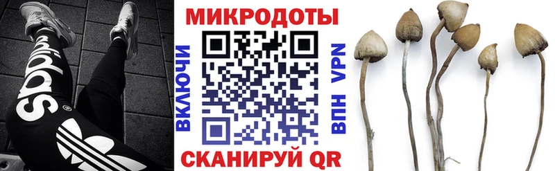 Галлюциногенные грибы прущие грибы  Родники 