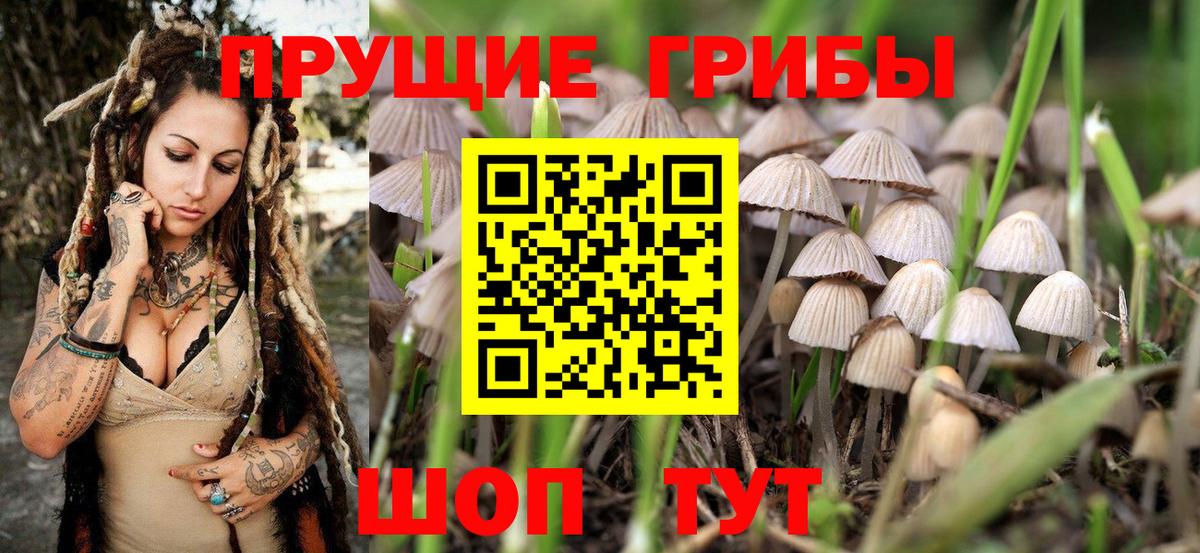 Псилоцибиновые грибы мицелий Родники