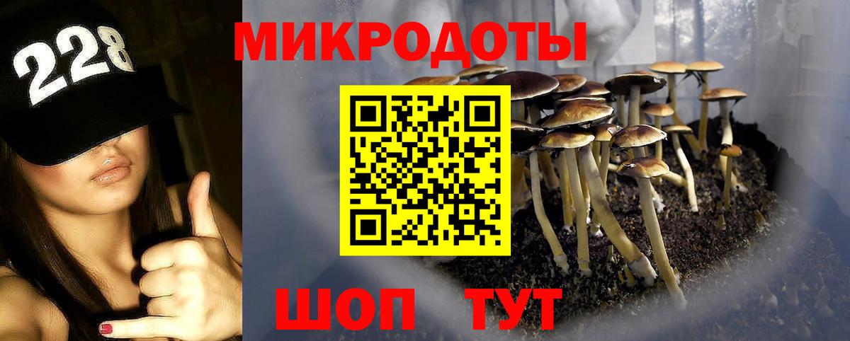 Псилоцибиновые грибы MAGIC MUSHROOMS  Вход с VPN  Галлюциногенные грибы Magic Shrooms  Родники 